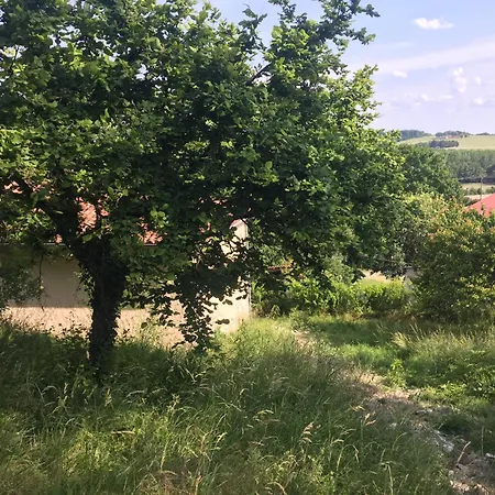 La Ferme En Sud Charente Holiday home Montboyer