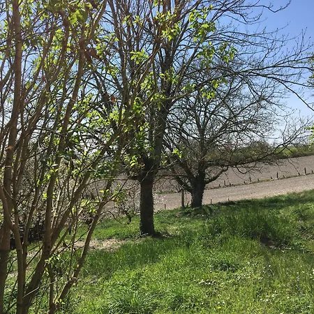 Holiday home La Ferme En Sud Charente Montboyer